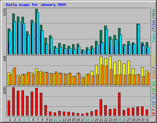 Daily usage for January 2025