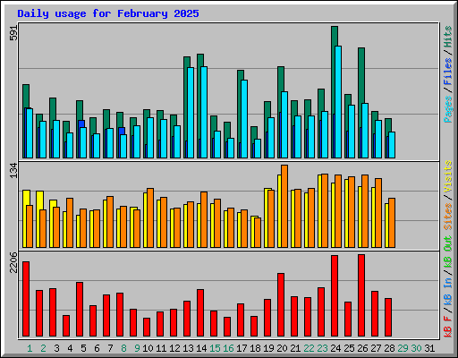 Daily usage for February 2025