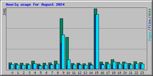 Hourly usage for August 2024