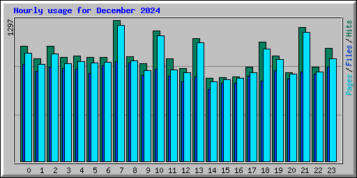 Hourly usage for December 2024