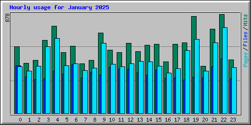 Hourly usage for January 2025