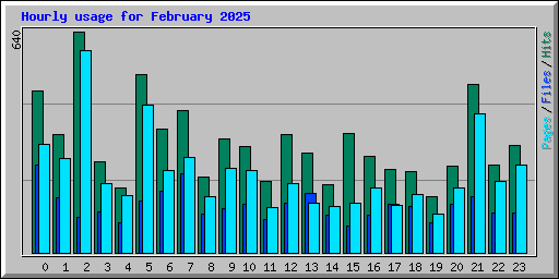 Hourly usage for February 2025