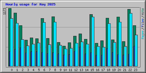 Hourly usage for May 2025