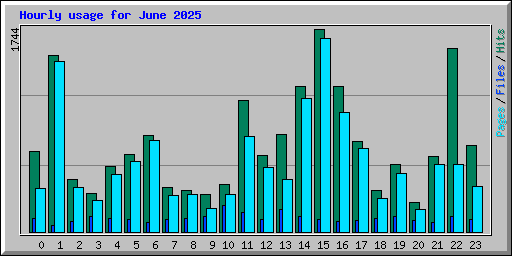 Hourly usage for June 2025