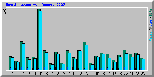 Hourly usage for August 2025