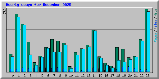 Hourly usage for December 2025