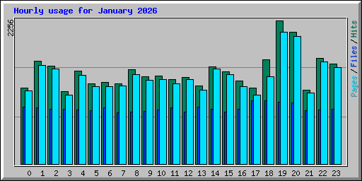 Hourly usage for January 2026