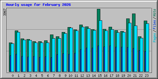 Hourly usage for February 2026