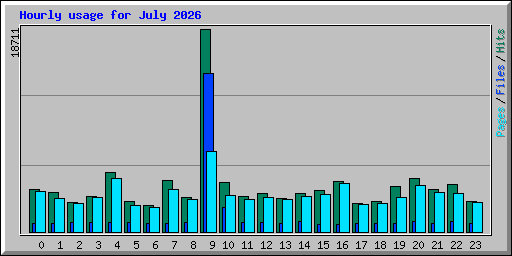 Hourly usage for July 2026