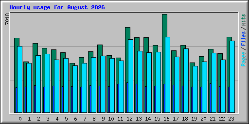 Hourly usage for August 2026