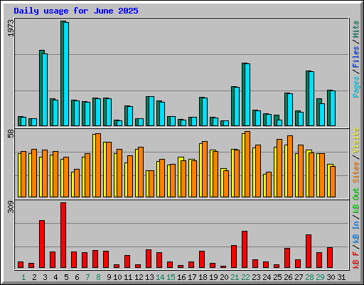 Daily usage for June 2025