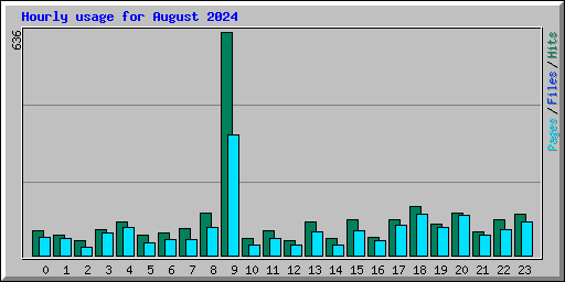 Hourly usage for August 2024