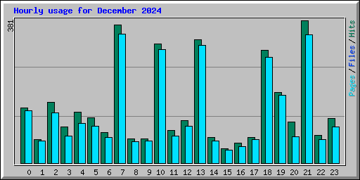 Hourly usage for December 2024