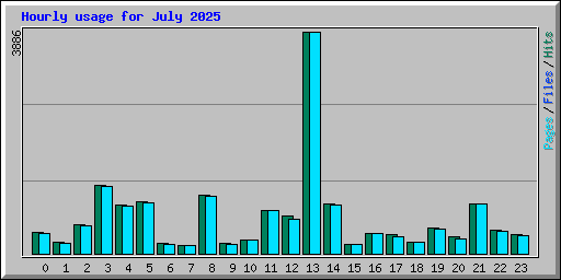 Hourly usage for July 2025