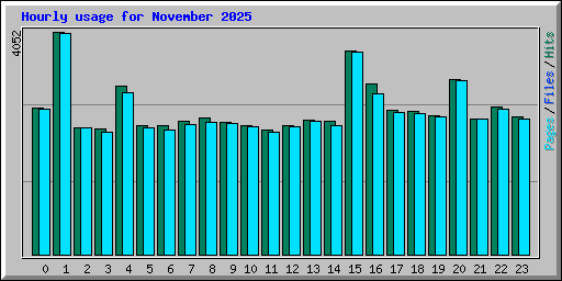 Hourly usage for November 2025
