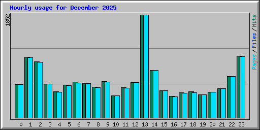Hourly usage for December 2025