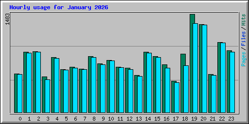 Hourly usage for January 2026