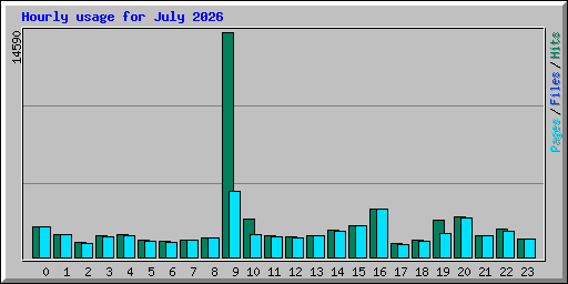 Hourly usage for July 2026