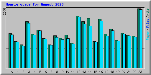 Hourly usage for August 2026
